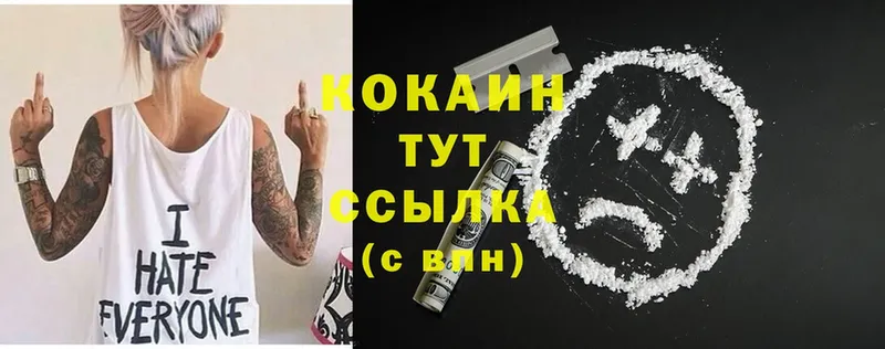 закладки  Горняк  Cocaine FishScale 